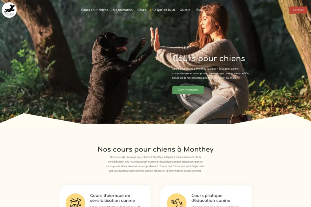 idegennyelvű weboldal készítés